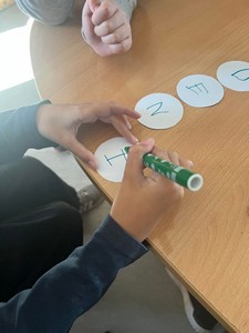 IMG 7548